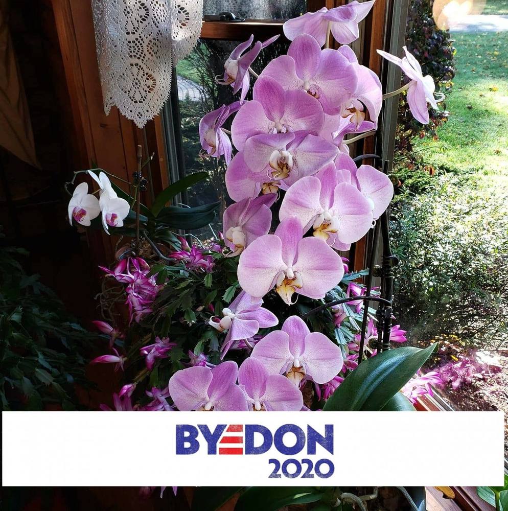 Meet your Posher, Carol